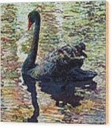 Black Swan Wood Print