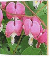 Bleeding Hearts On Parade Wood Print