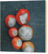 Blossom End Rot On Tomatoes Wood Print