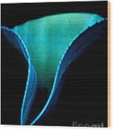 Blue Agave Vertical Wood Print