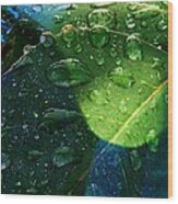 Blue And Green - Waterdrops Series Wood Print
