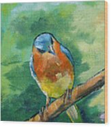 Blue Bird 1 Wood Print