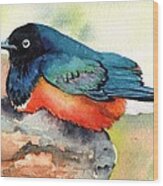 Blue Bird Wood Print