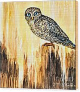 Blue Eyed Owl Wood Print