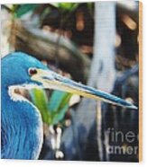 Blue Heron Wood Print