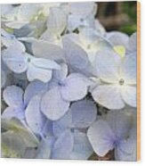 Blue Hydrangea Flowers Wood Print