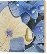 Blue Hydrangeas Wood Print