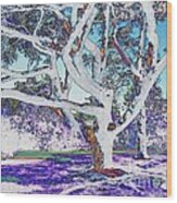 Blue Ice Wood Print