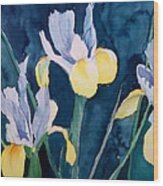 Blue Iris Wood Print