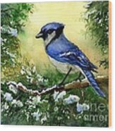 Blue Jay  On Cedar Wood Print