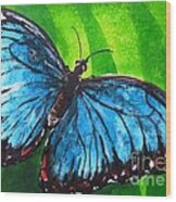 Blue Morpho Butterfly Wood Print