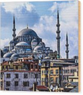 Blue Mosque In Istanbul Wood Print