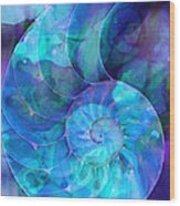 Blue Nautilus Shell By Sharon Cummings Wood Print