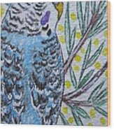Blue Parakeet Wood Print
