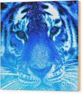 Blue Tiger Wood Print