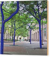 Blue Tree Walkway Wood Print