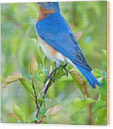 Bluebird Joy Wood Print