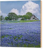 Bluebonnet Farm Wood Print