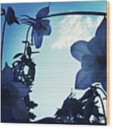 Bluesky Flowers #flowers Wood Print