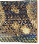 Boa Constrictor Scales Wood Print