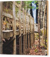 Boardwalk To Song Wood Print