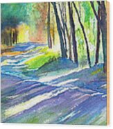 Bobs Road Wood Print