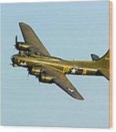 Boeing B17 Sally B Wood Print