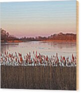 Bombay Hook Sunrise Wood Print