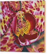 Bonnie Orchid Iii Wood Print