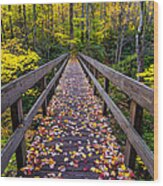 Boone Fork Bridge Wood Print