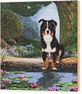 Border Collie Portrait Wood Print