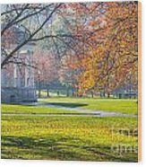 Boston Common Autumn Morn Wood Print