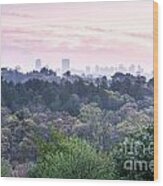Boston Skyline From Peters Hill Wood Print