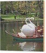 Boston Swan Boats Wood Print