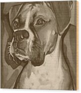 Boxer Dog Sepia Print Wood Print