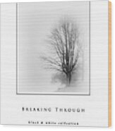 Breaking Through  Black And White Collection Wood Print