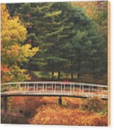 Bridge To Autumn Wood Print