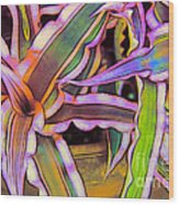 Bromeliads Wood Print