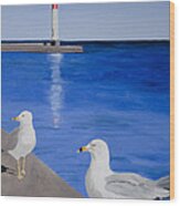 Bronte Lighthouse Gulls In Oil Wood Print
