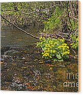 Brook Trout Country Wood Print