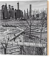 Brooklyn Bridge Park Wood Print