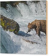 Brooks Falls Grizzly Wood Print