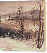 Barrington In Winter Wood Print
