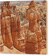 Bryce Canyon 2 Wood Print