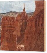 Bryce Canyon 3 Wood Print