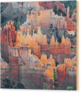 Bryce Canyon At Sunrise Wood Print