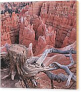 Bryce Canyon Landscape With Old Stub On Wood Print