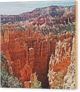Bryce Canyon Many Features Wood Print