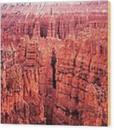 Bryce Canyon Red Wood Print