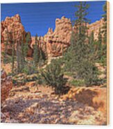 Bryce Canyon Utah Wood Print